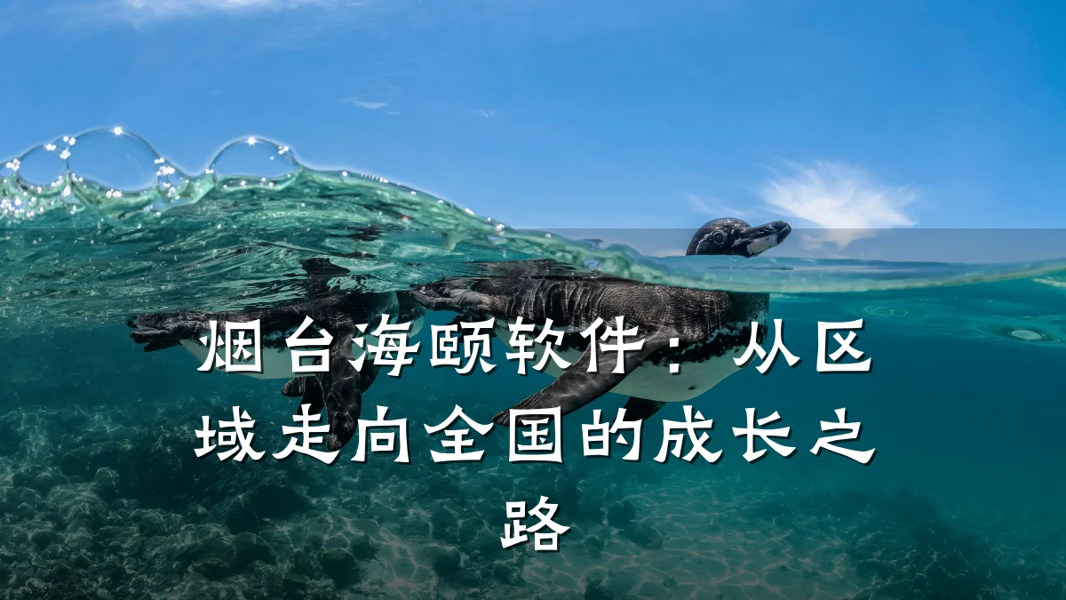烟台海颐软件:从区域走向全国的成长之路