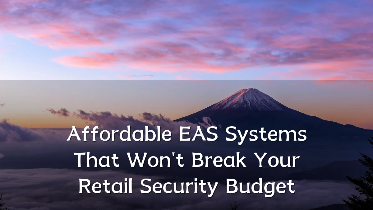 Affordable EAS Systems That Won't Break Your Retail Security Budget