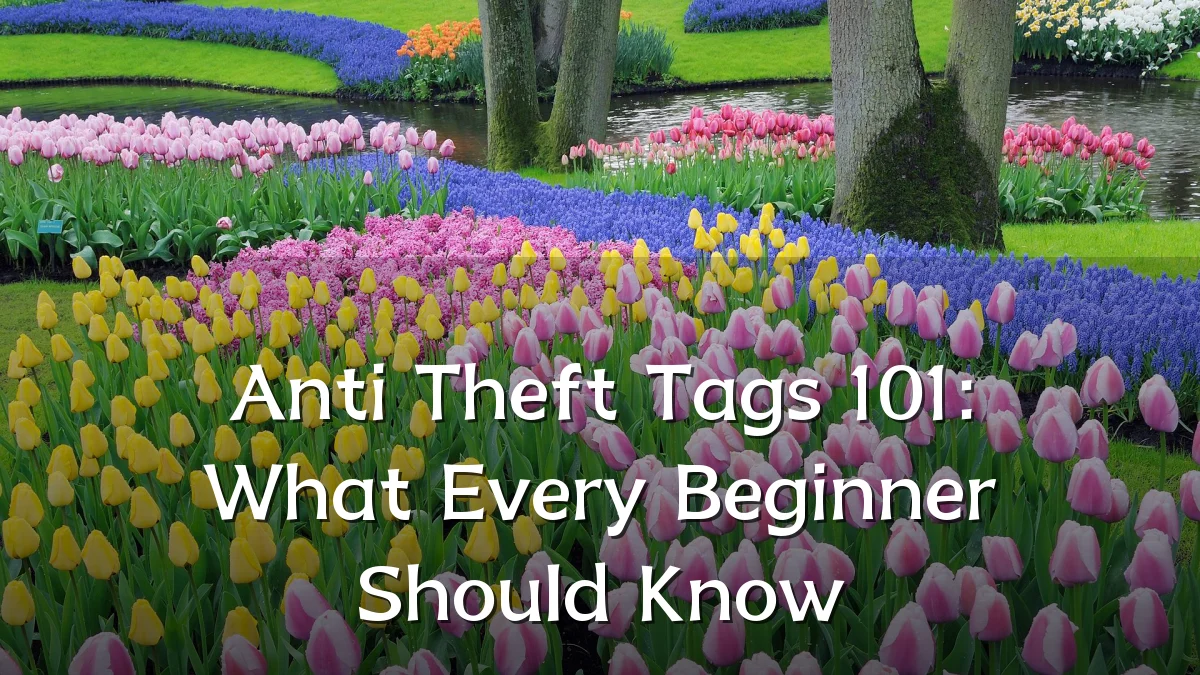 Anti Theft Tags 101: What Every Beginner Should Know