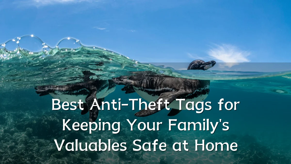 Best Anti-Theft Tags for Keeping Your Family's Valuables Safe at Home