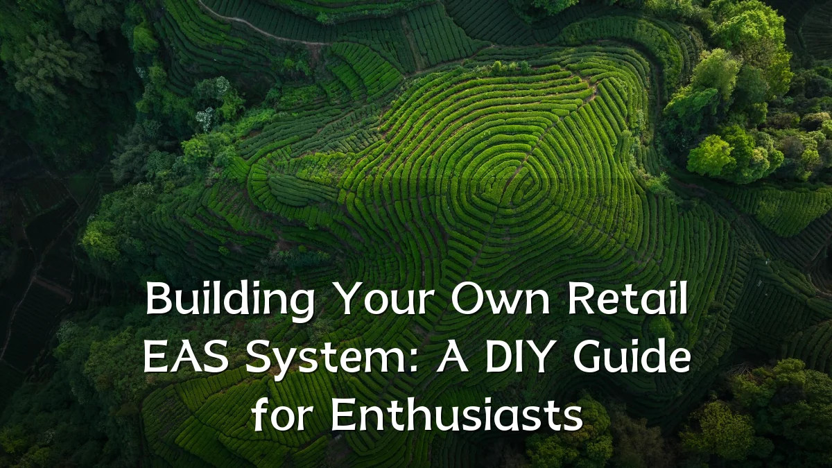 Building Your Own Retail EAS System: A DIY Guide for Enthusiasts
