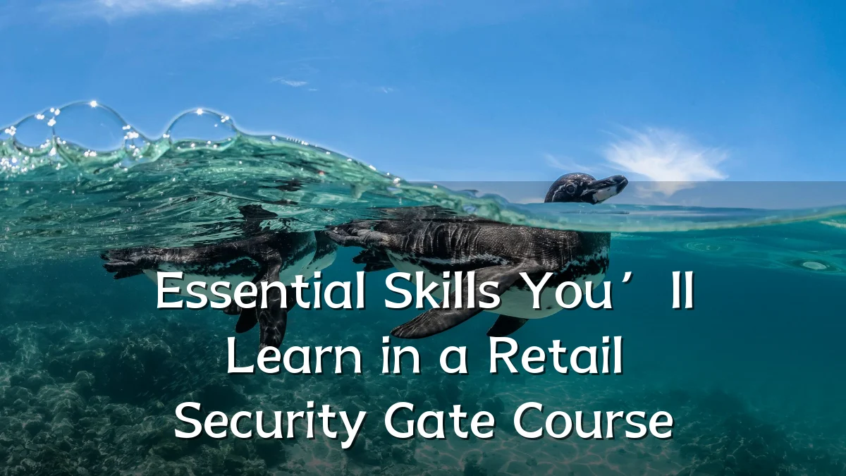 Essential Skills You’ll Learn in a Retail Security Gate Course
