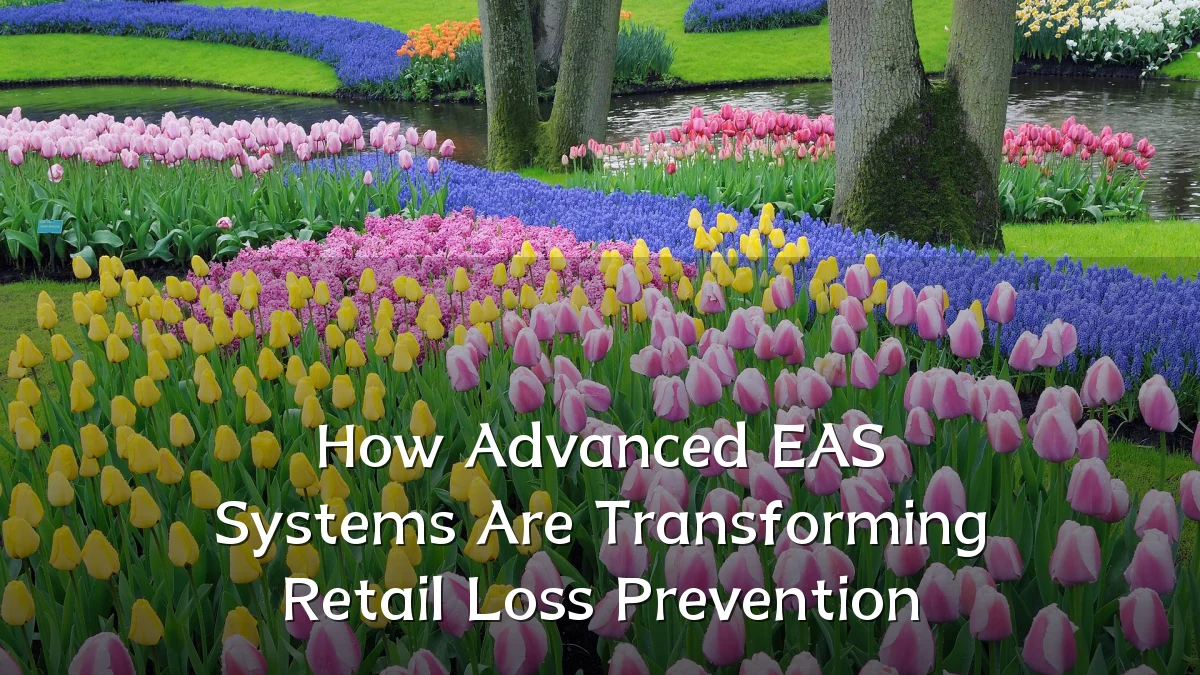 How Advanced EAS Systems Are Transforming Retail Loss Prevention