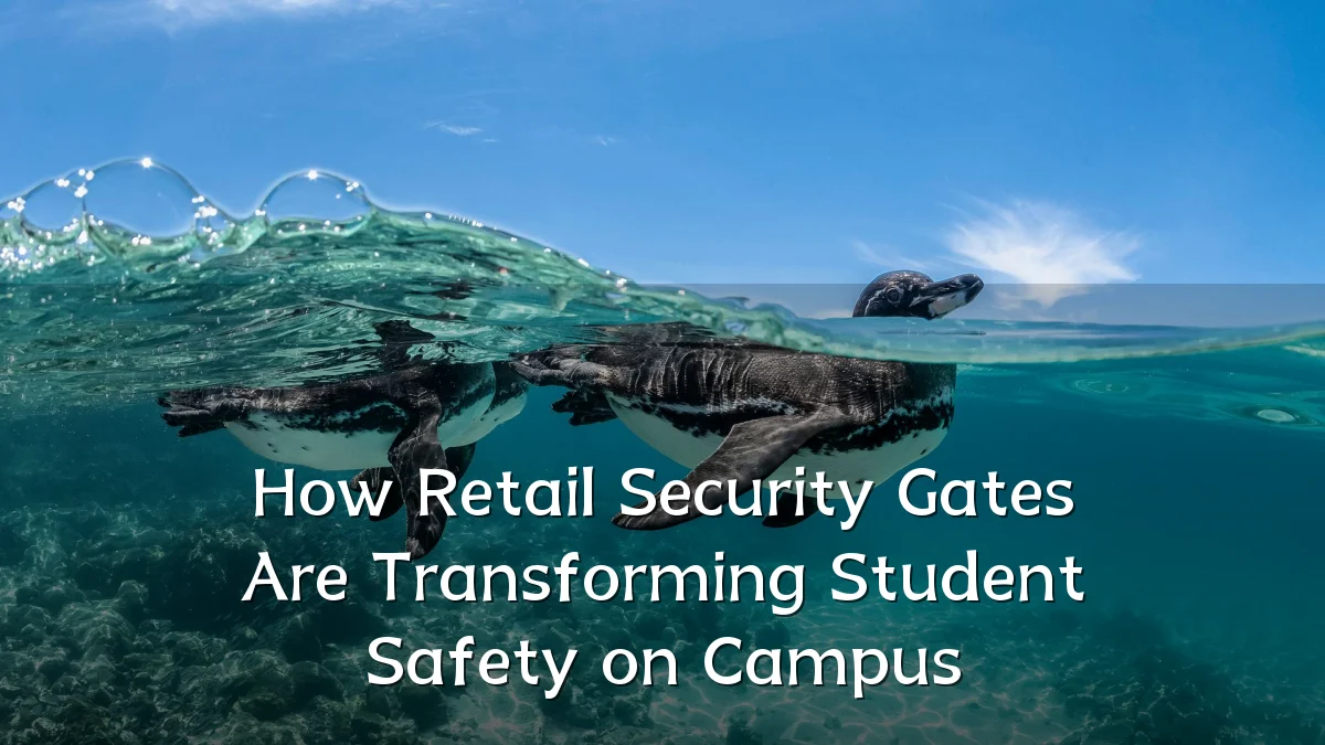 How Retail Security Gates Are Transforming Student Safety on Campus