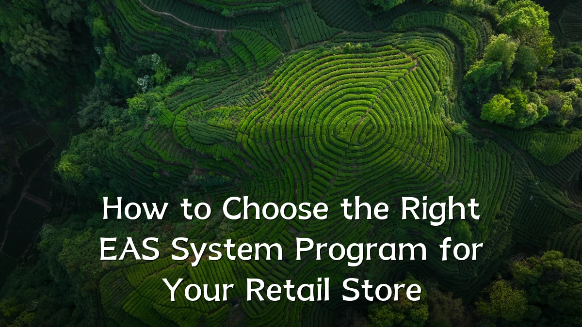 How to Choose the Right EAS System Program for Your Retail Store
