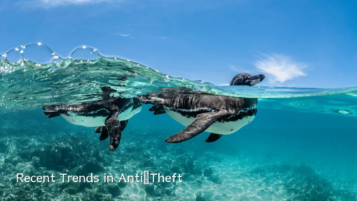 Recent Trends in Anti‑Theft