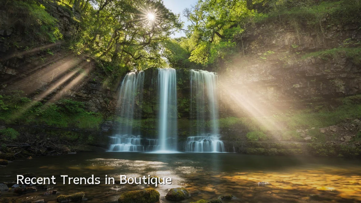 Recent Trends in Boutique