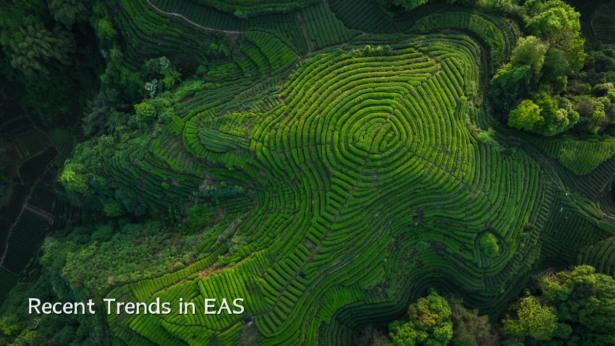 Recent Trends in EAS