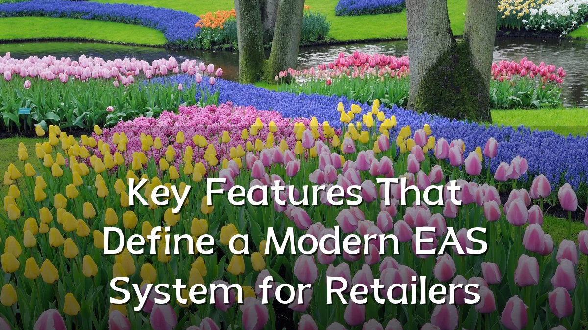 Key Features That Define a Modern EAS System for Retailers