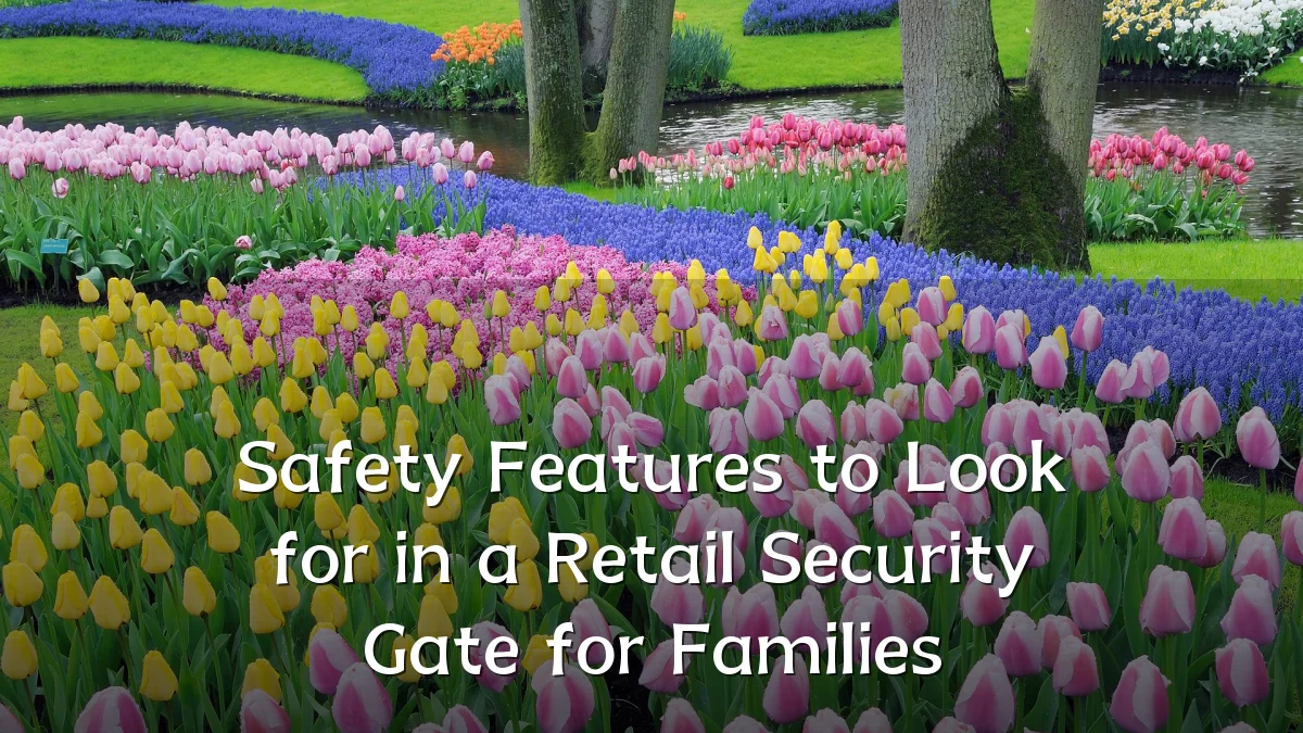 Safety Features to Look for in a Retail Security Gate for Families