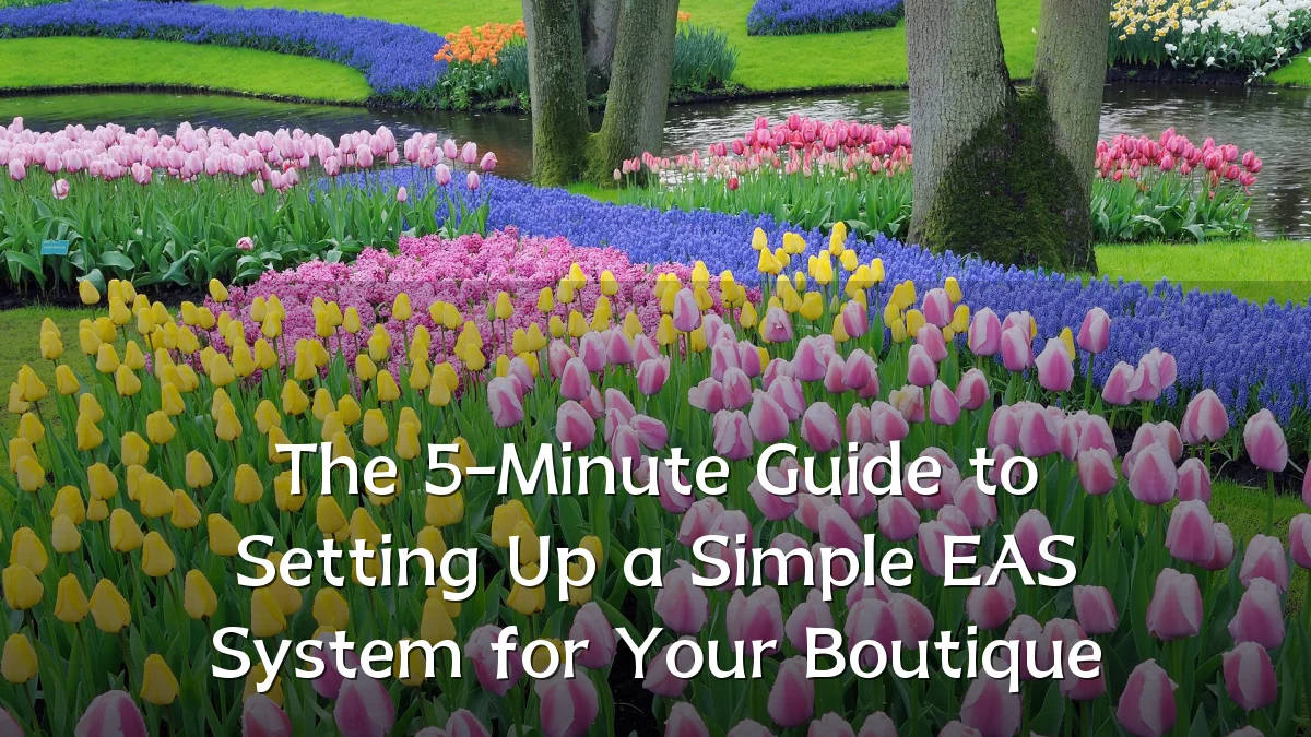 The 5-Minute Guide to Setting Up a Simple EAS System for Your Boutique