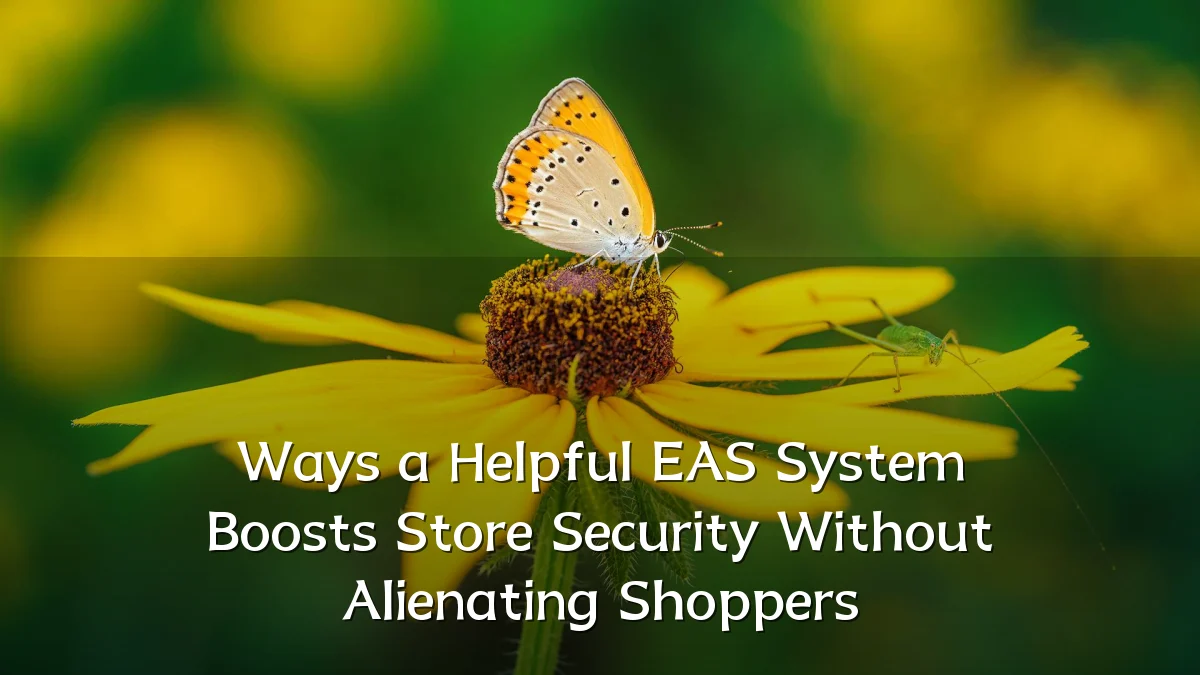 Ways a Helpful EAS System Boosts Store Security Without Alienating Shoppers