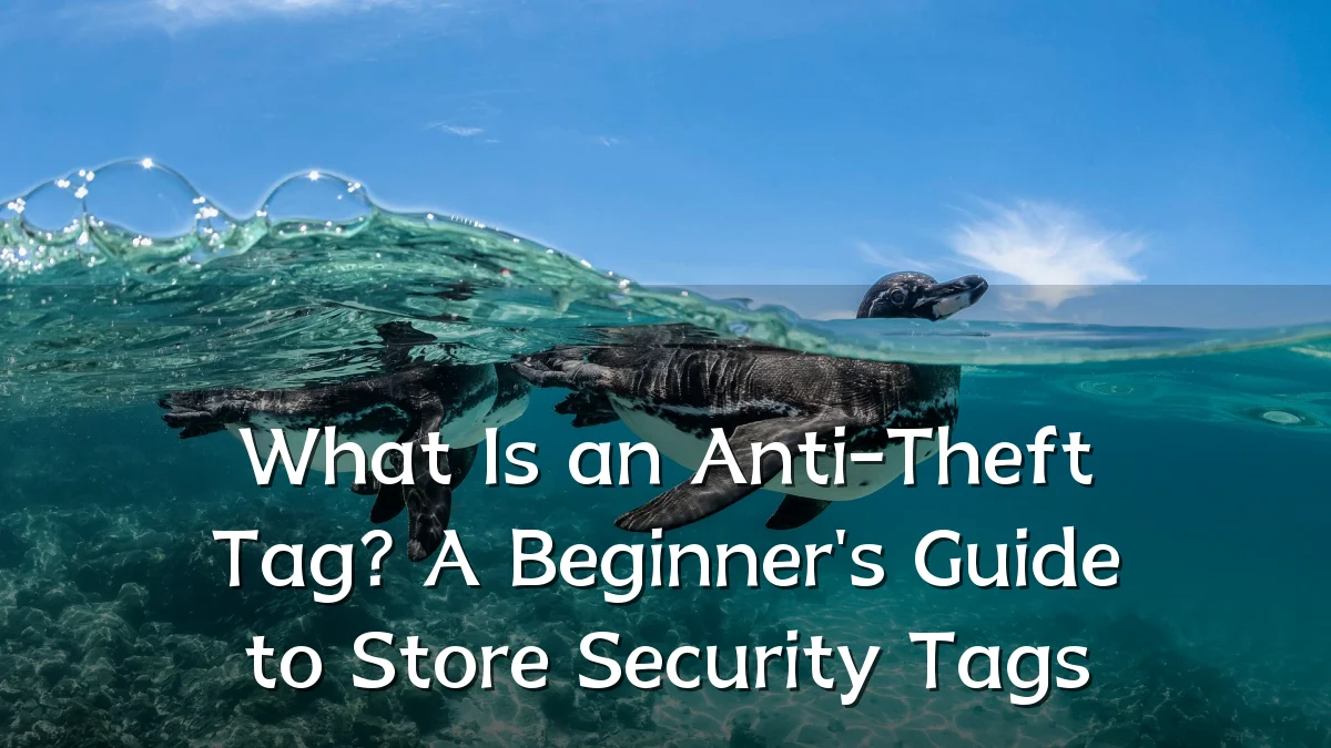 What Is an Anti-Theft Tag? A Beginner's Guide to Store Security Tags