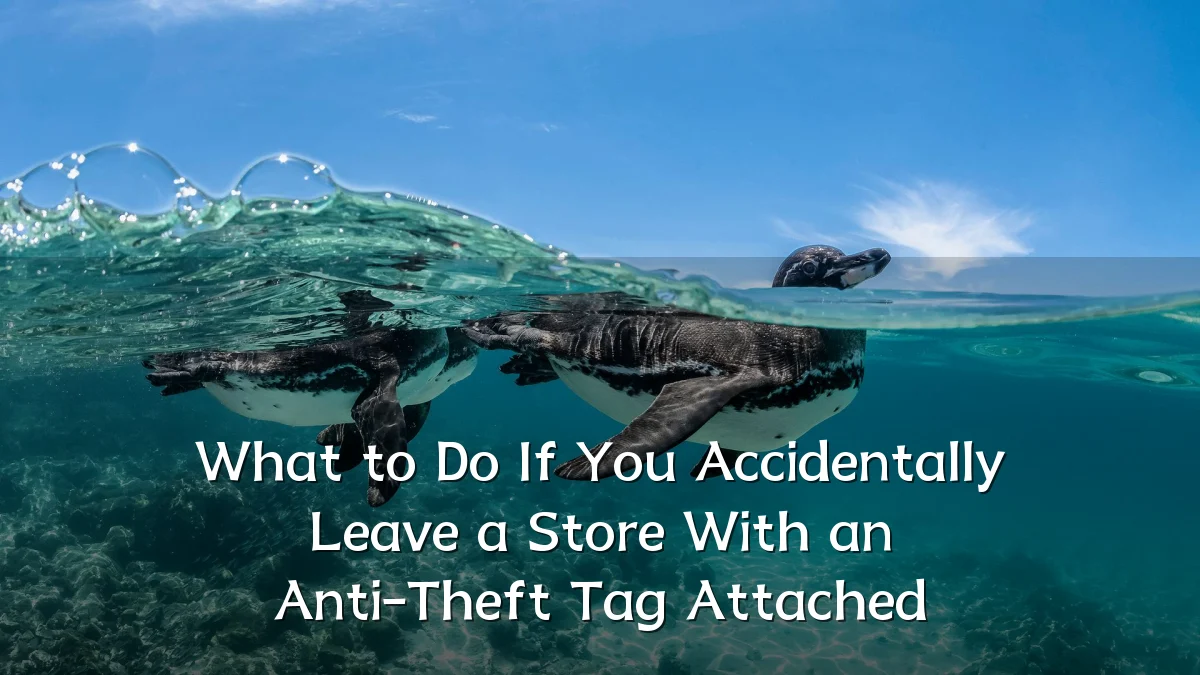 What to Do If You Accidentally Leave a Store With an Anti-Theft Tag Attached