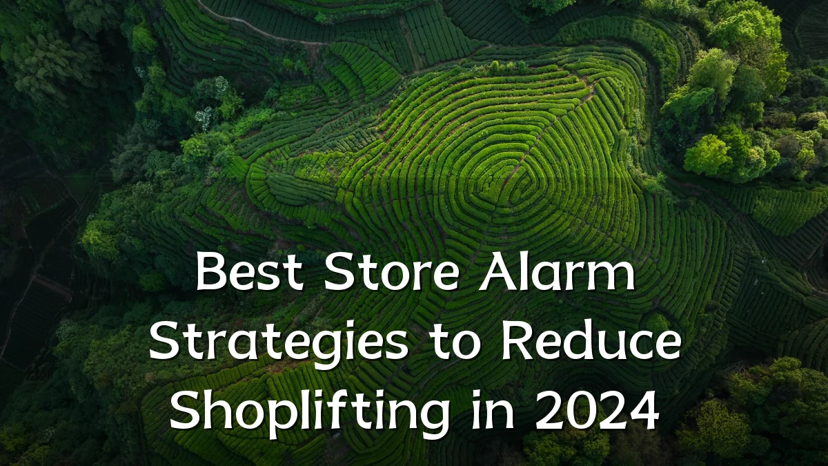 Best Store Alarm Strategies to Reduce Shoplifting in 2024