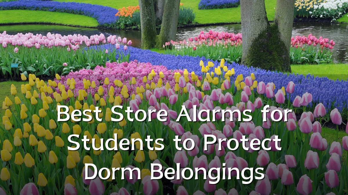 Best Store Alarms for Students to Protect Dorm Belongings