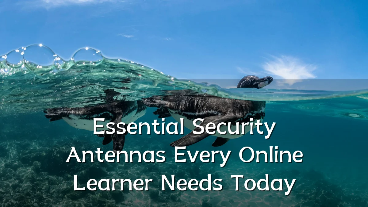 Essential Security Antennas Every Online Learner Needs Today