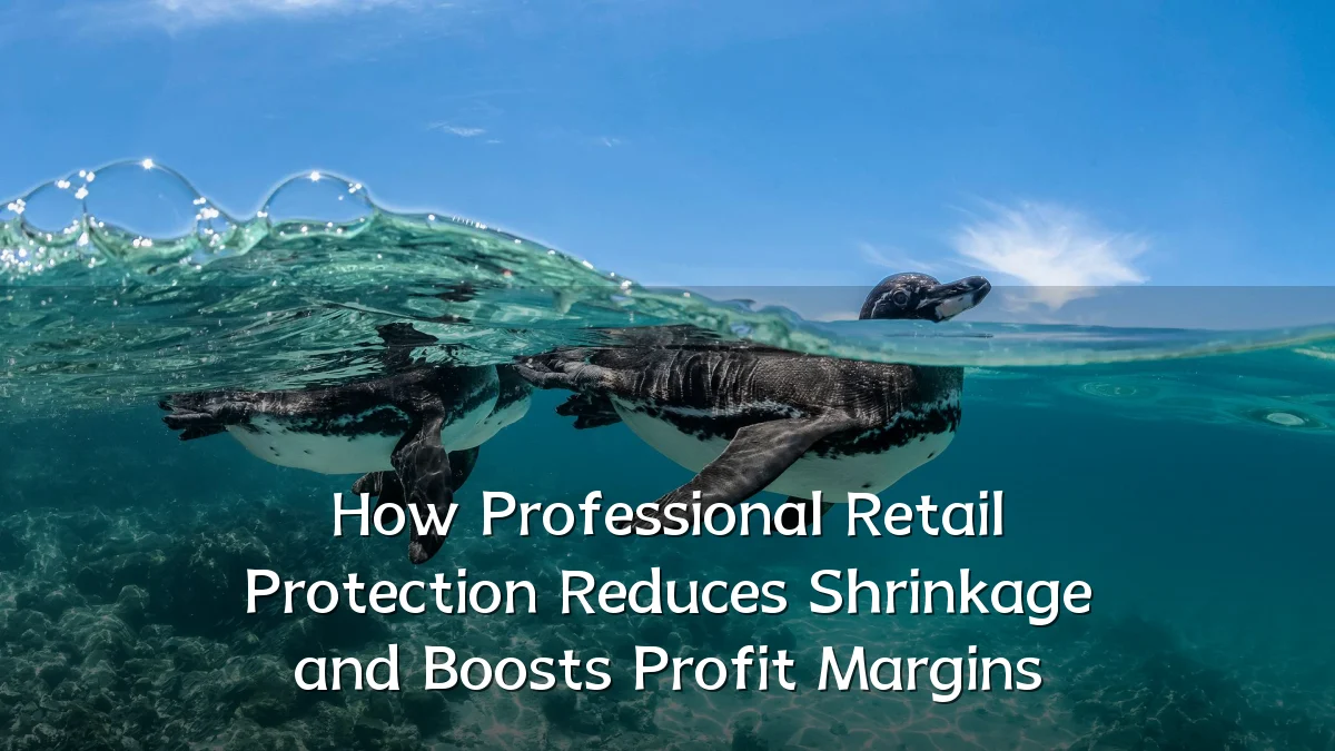 How Professional Retail Protection Reduces Shrinkage and Boosts Profit Margins