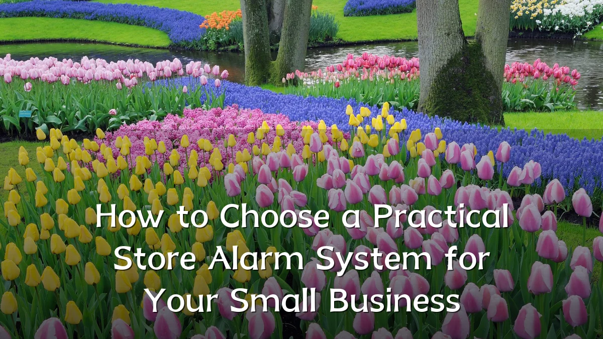 How to Choose a Practical Store Alarm System for Your Small Business