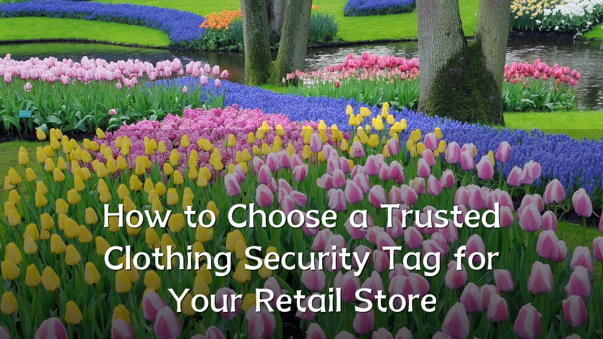 How to Choose a Trusted Clothing Security Tag for Your Retail Store