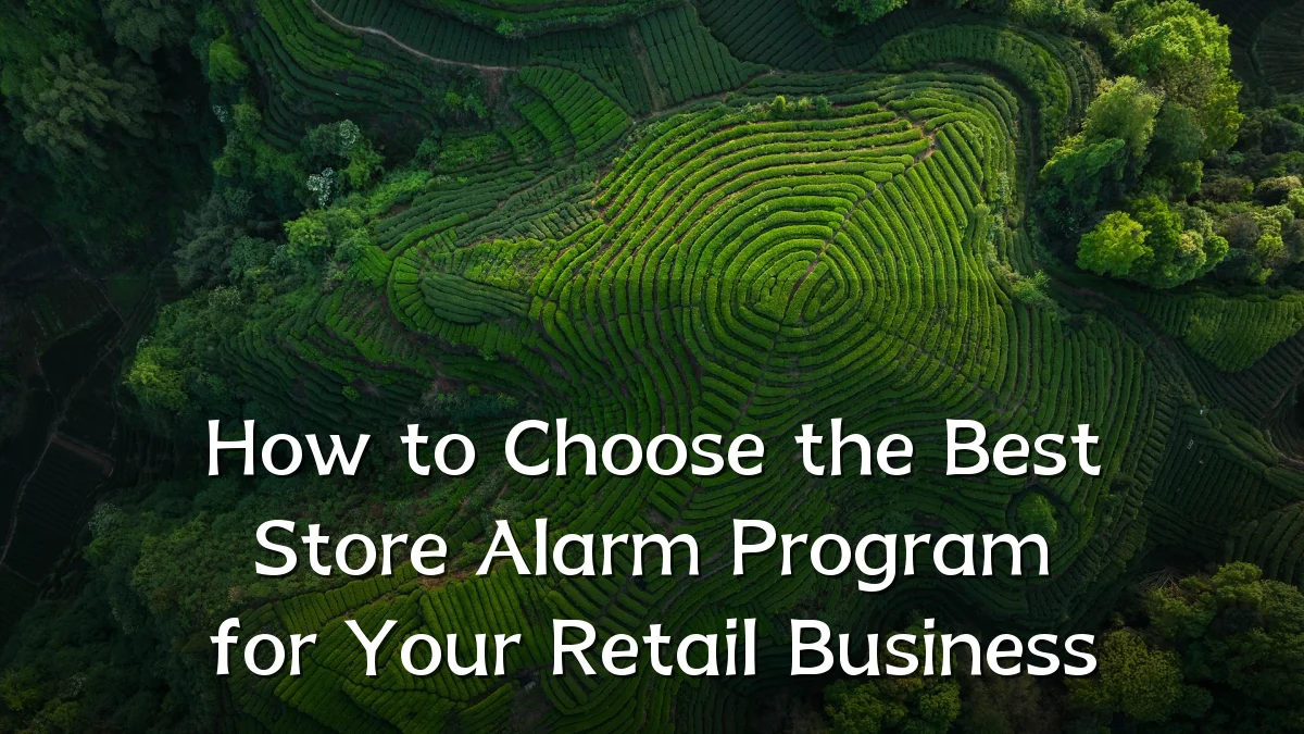 How to Choose the Best Store Alarm Program for Your Retail Business