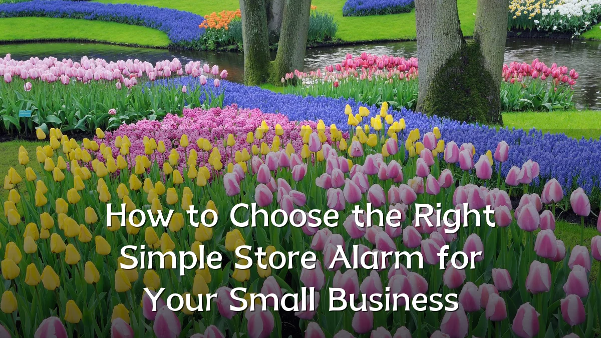 How to Choose the Right Simple Store Alarm for Your Small Business