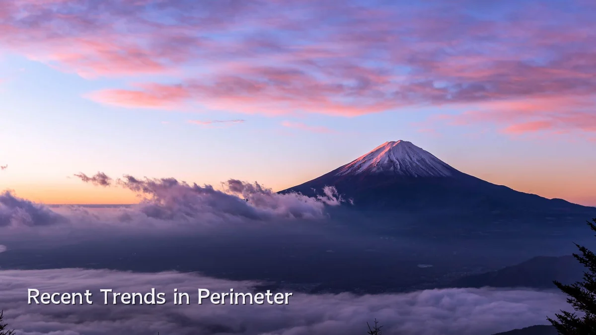 Recent Trends in Perimeter