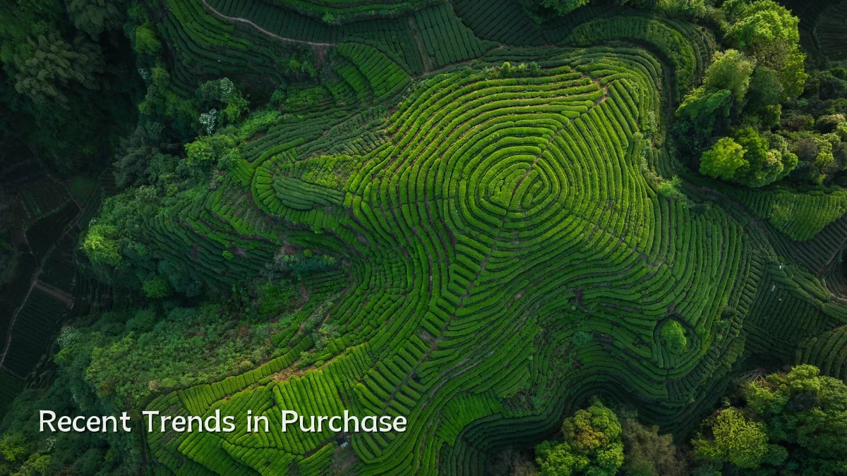 Recent Trends in Purchase
