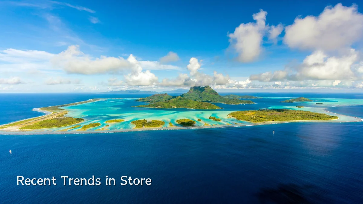 Recent Trends in Store