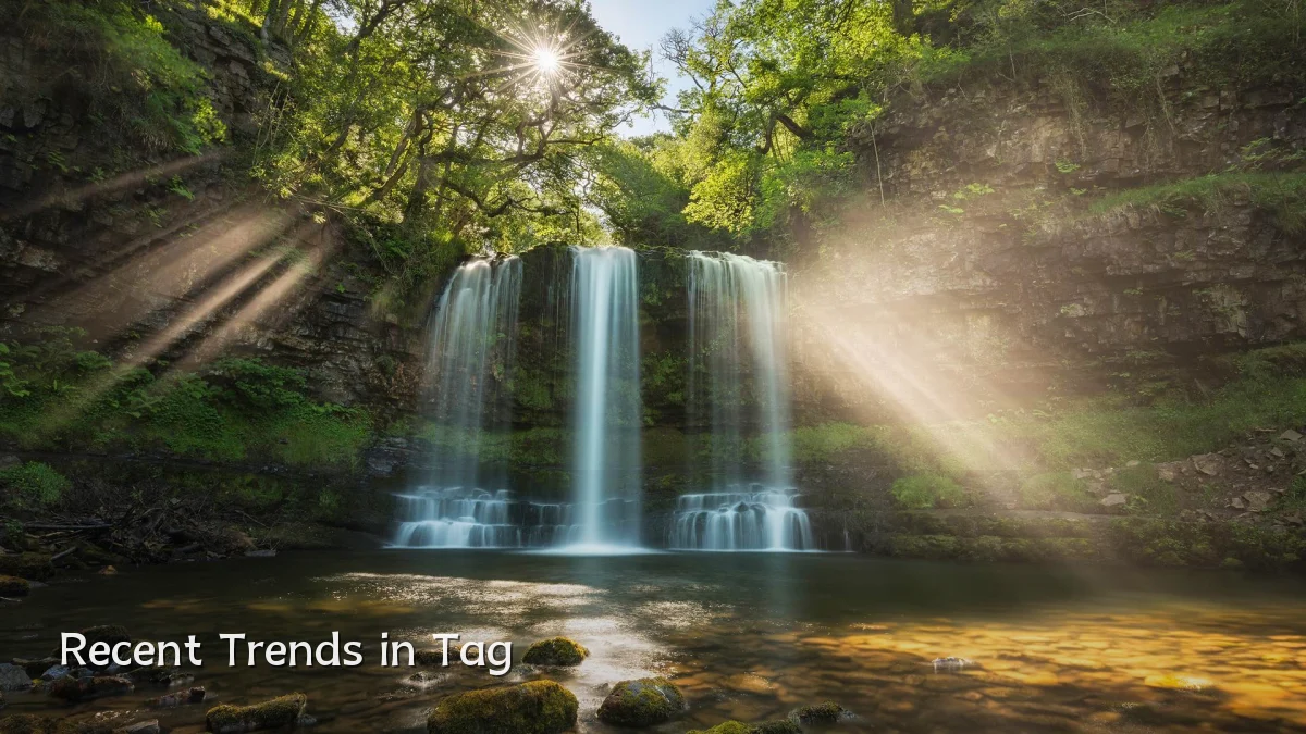 Recent Trends in Tag