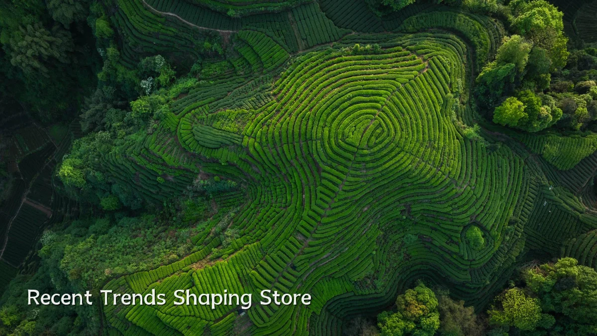 Recent Trends Shaping Store