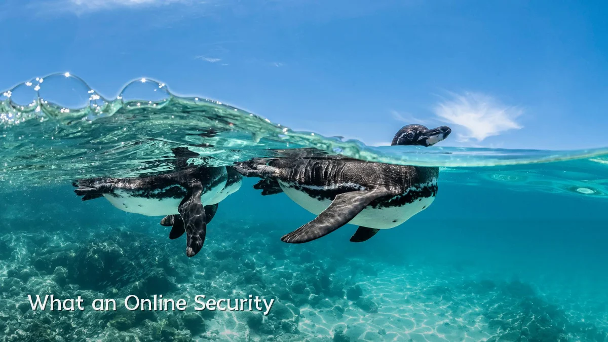What an Online Security