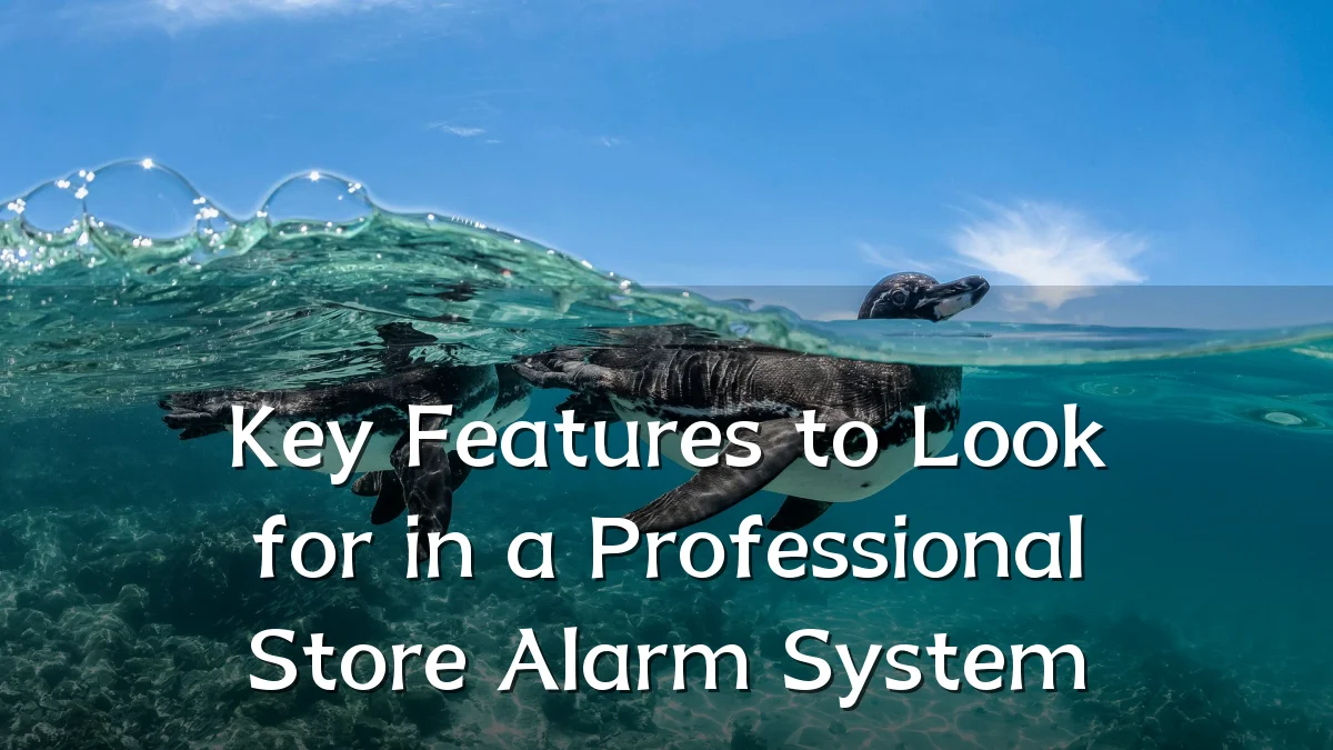 Key Features to Look for in a Professional Store Alarm System