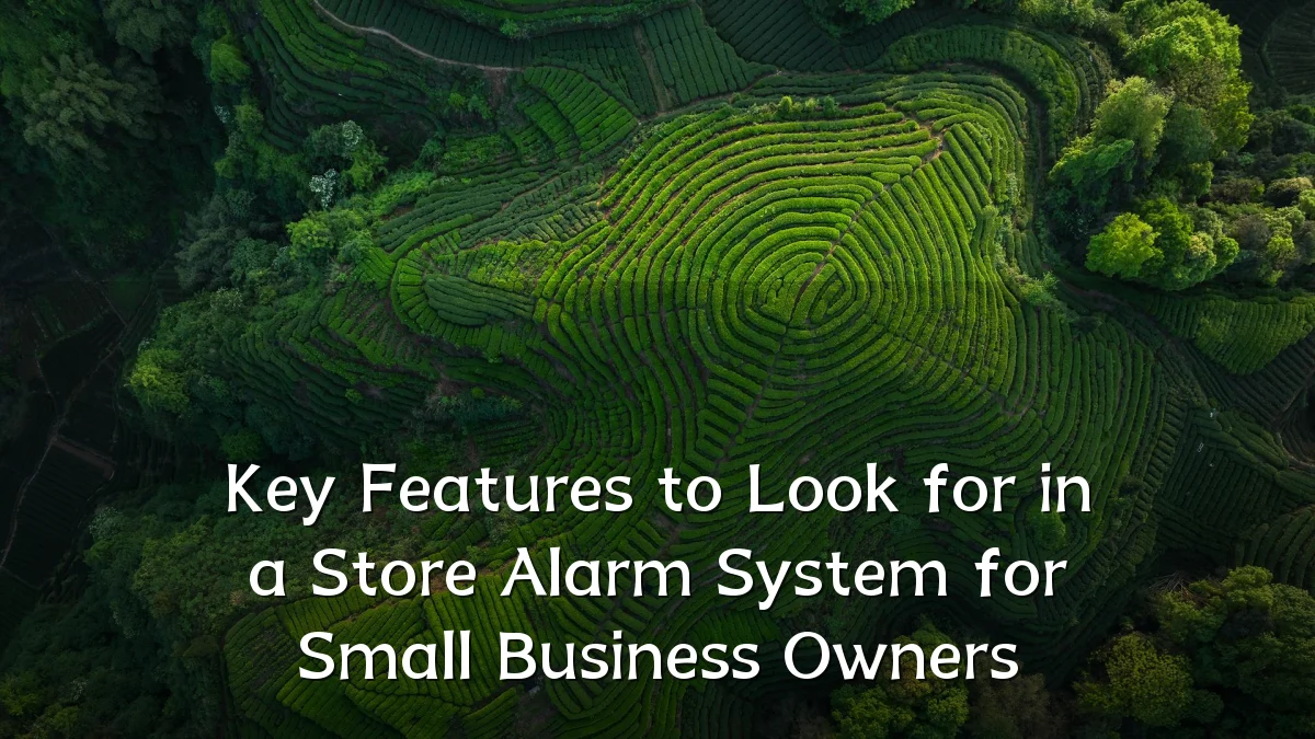Key Features to Look for in a Store Alarm System for Small Business Owners