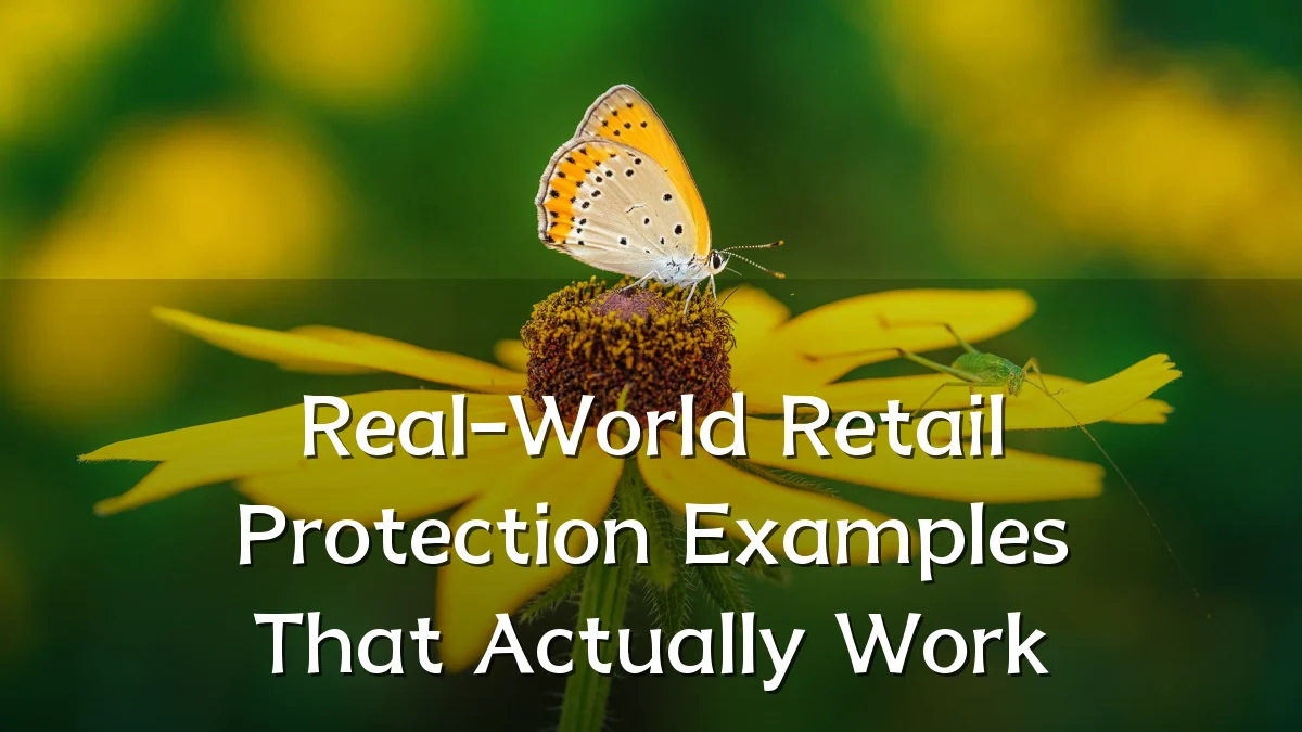 Real-World Retail Protection Examples That Actually Work