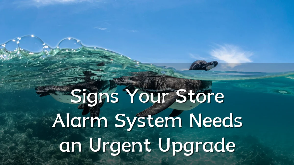 Signs Your Store Alarm System Needs an Urgent Upgrade