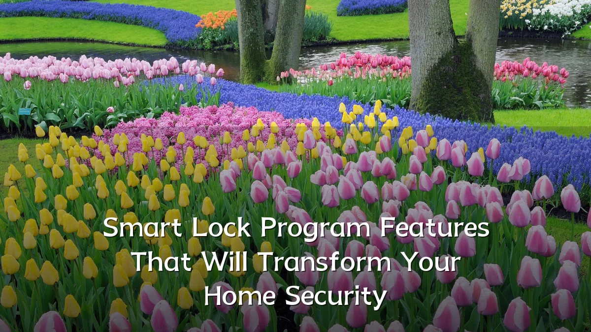 Smart Lock Program Features That Will Transform Your Home Security