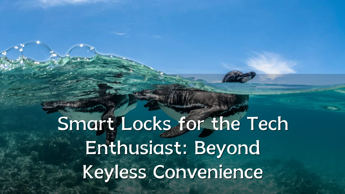 Smart Locks for the Tech Enthusiast: Beyond Keyless Convenience