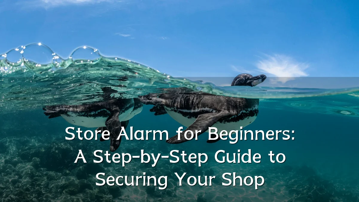 Store Alarm for Beginners: A Step-by-Step Guide to Securing Your Shop