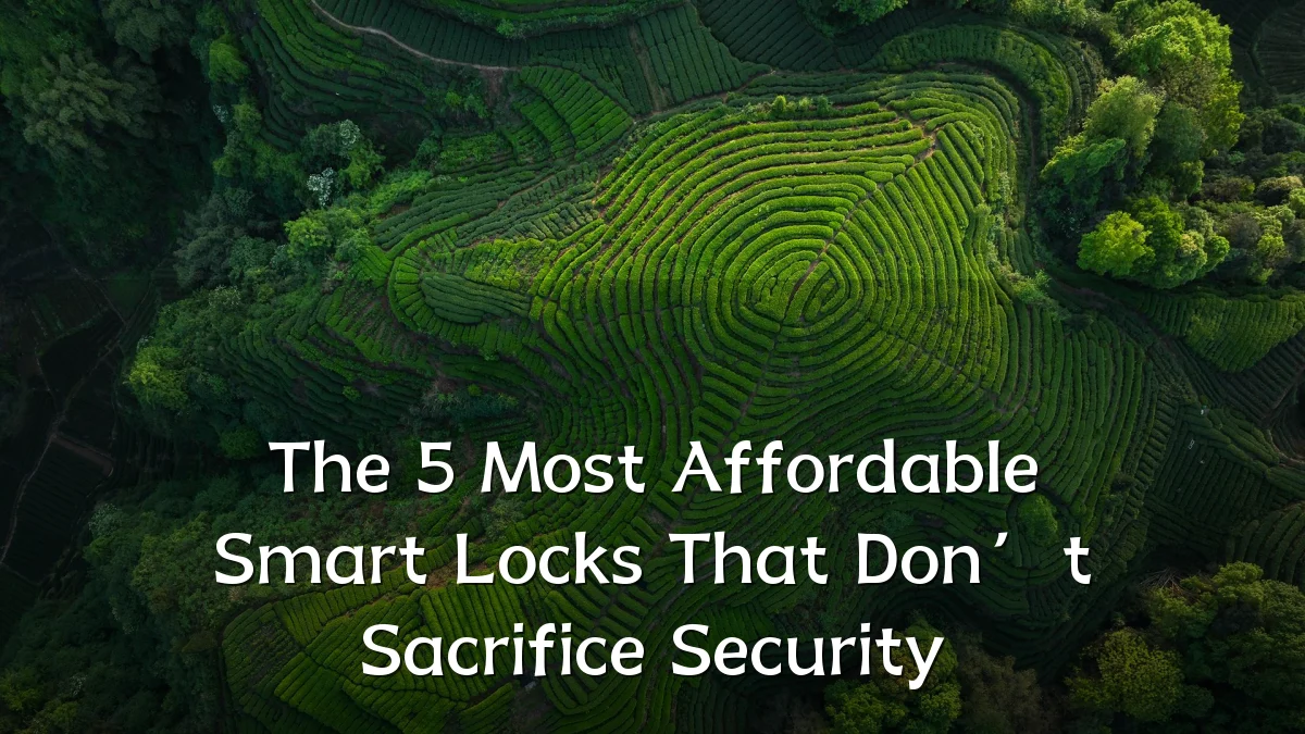 The 5 Most Affordable Smart Locks That Don’t Sacrifice Security
