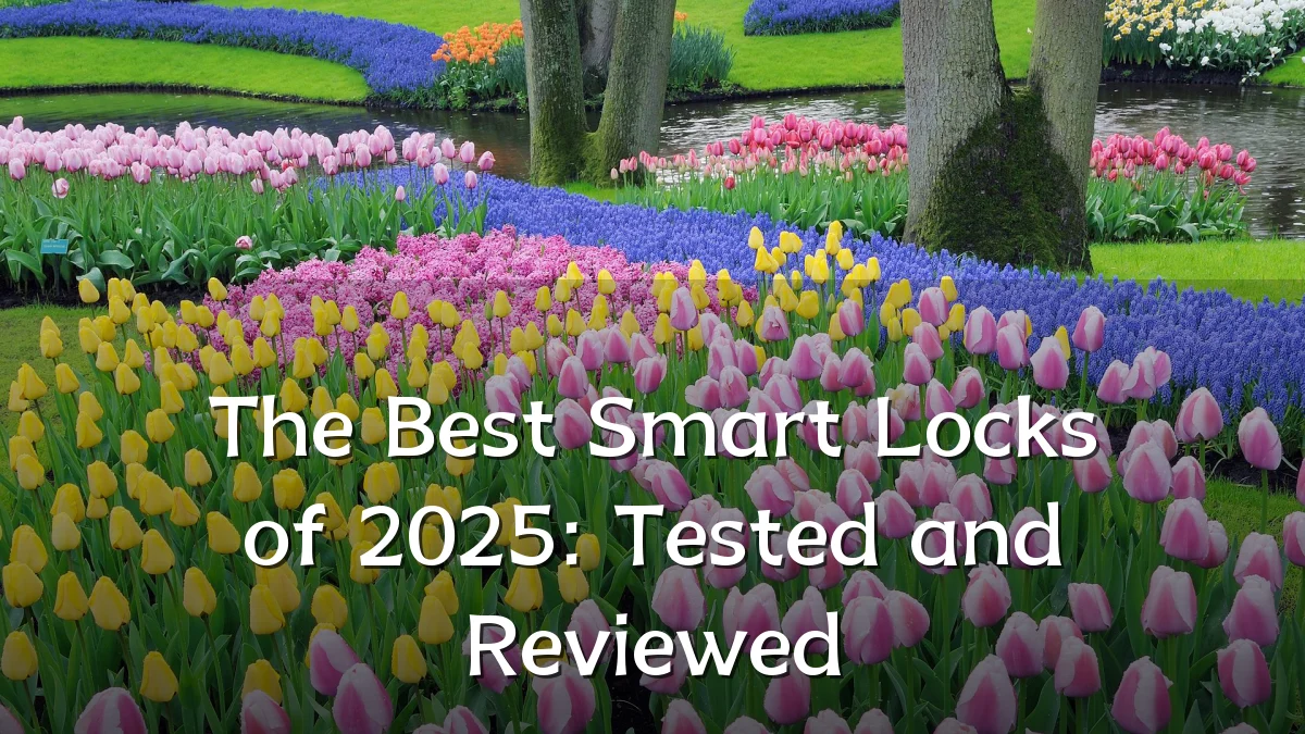 The Best Smart Locks of 2025: Tested and Reviewed