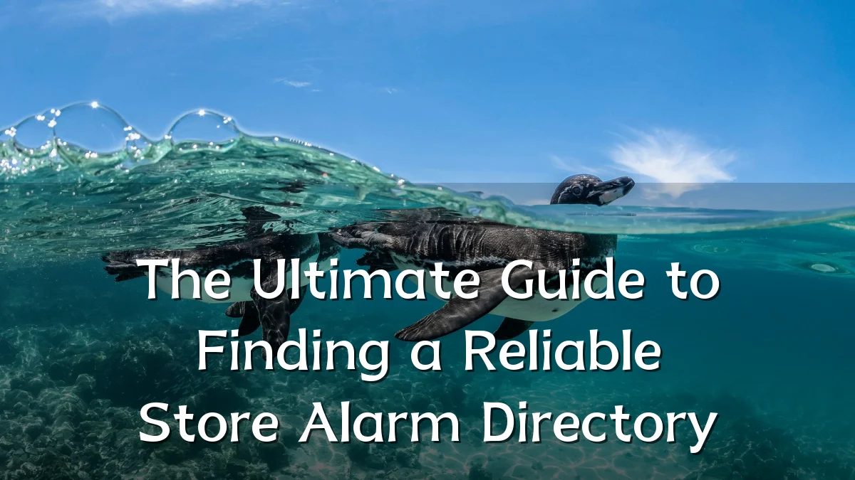 The Ultimate Guide to Finding a Reliable Store Alarm Directory