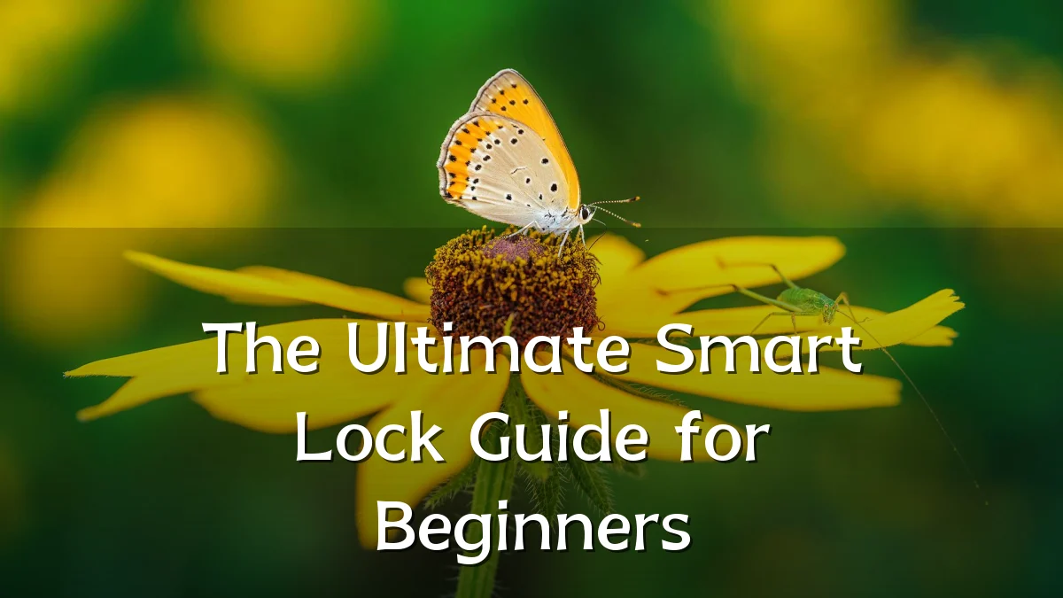 The Ultimate Smart Lock Guide for Beginners
