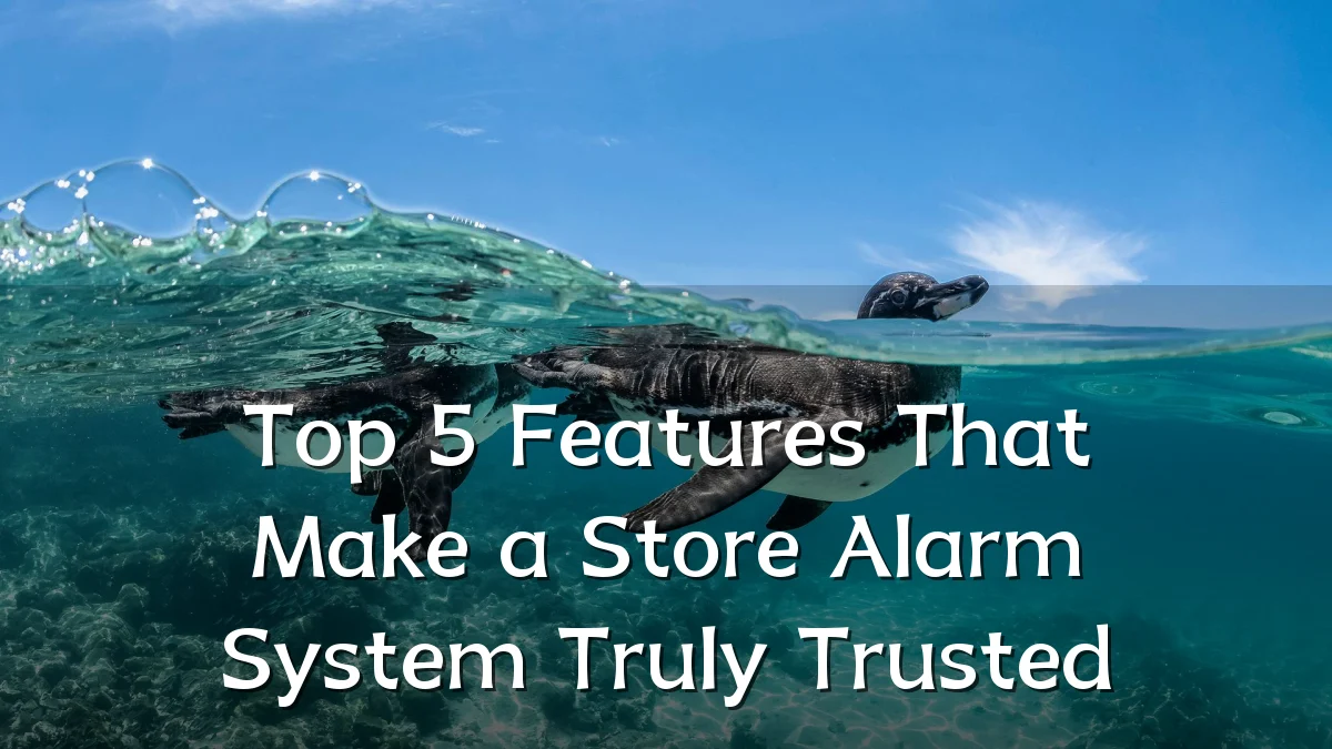 Top 5 Features That Make a Store Alarm System Truly Trusted